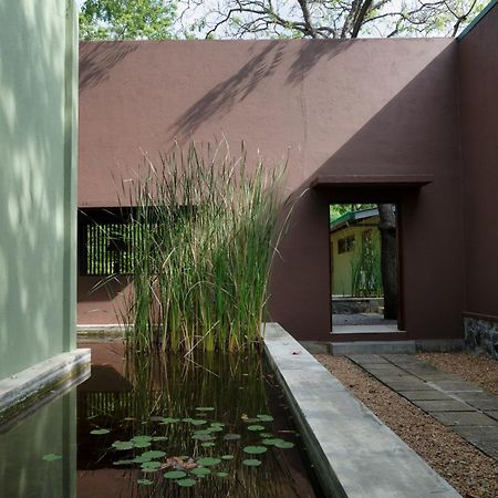 הוילה קירינדה Neem Tree House מראה חיצוני תמונה