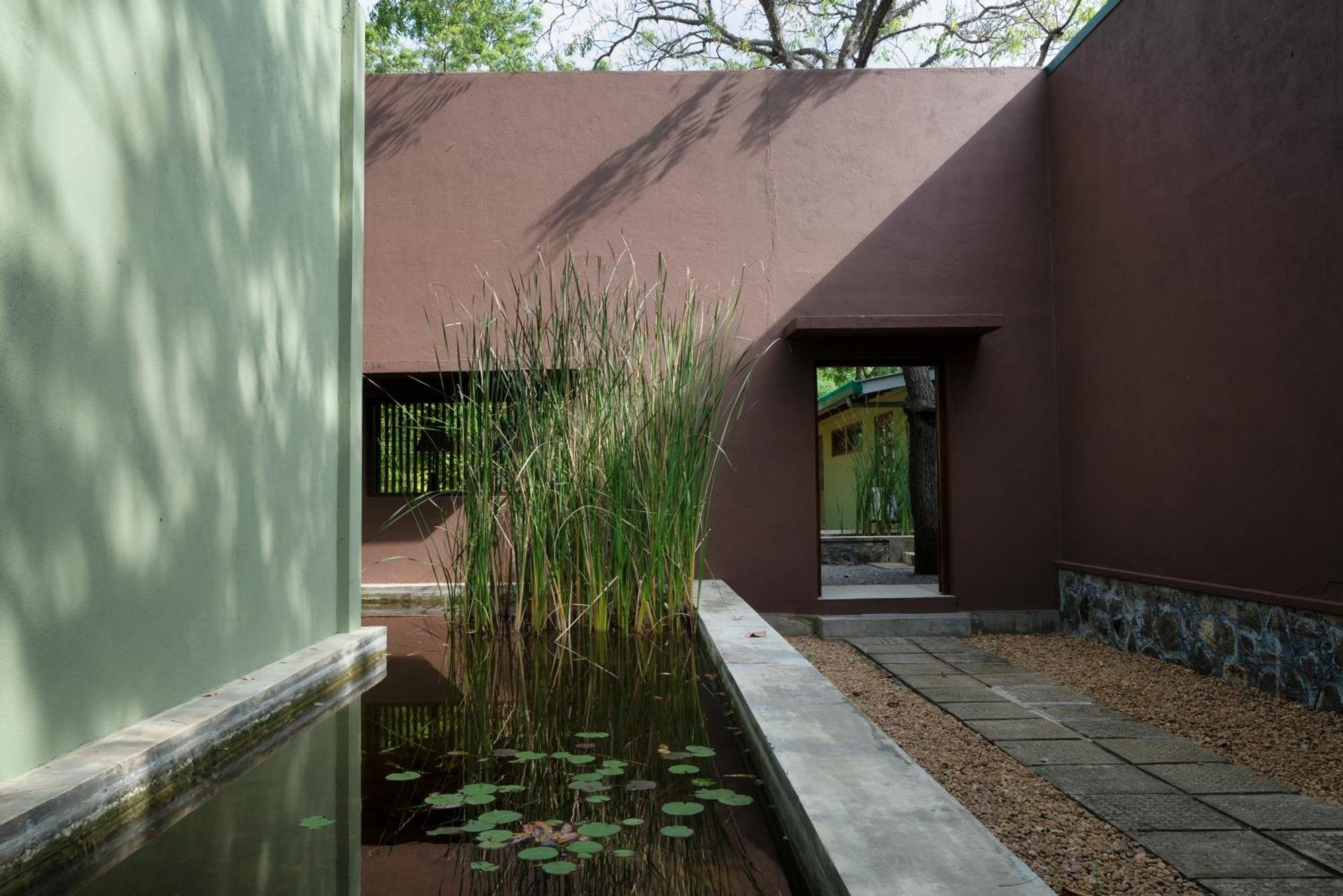 הוילה קירינדה Neem Tree House מראה חיצוני תמונה